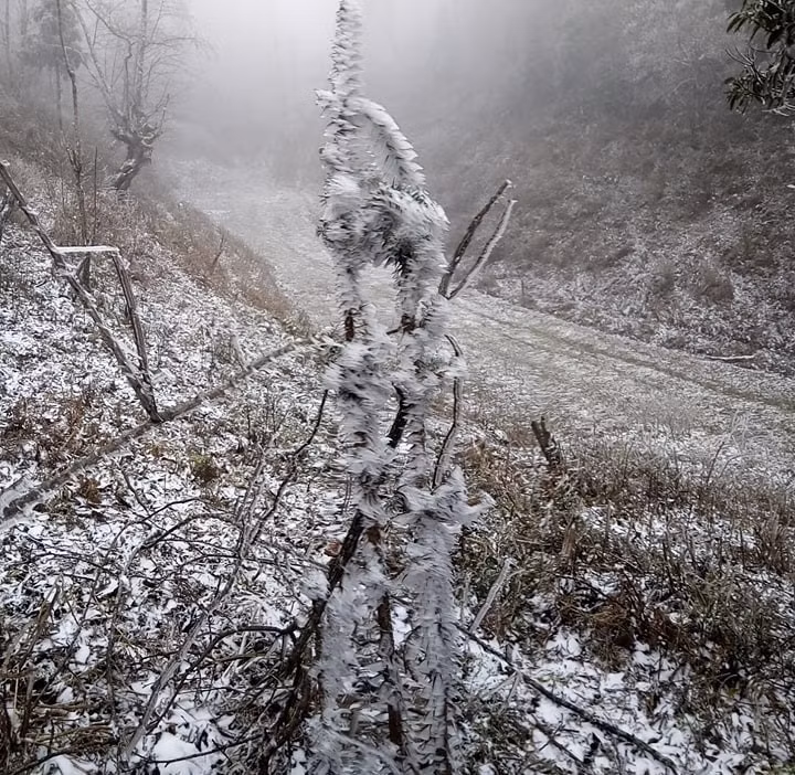 冰雪天气袭击越南北部山区。越通社记者香秋 摄