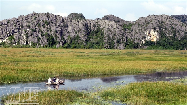 外国游客乘竹船参观云龙湿地自然保护区（图片来源：越通社）