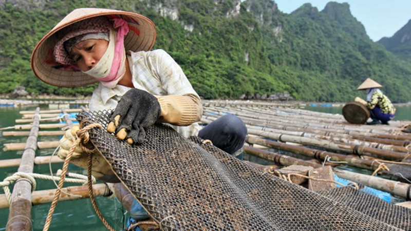 （图片来源：人民报网）