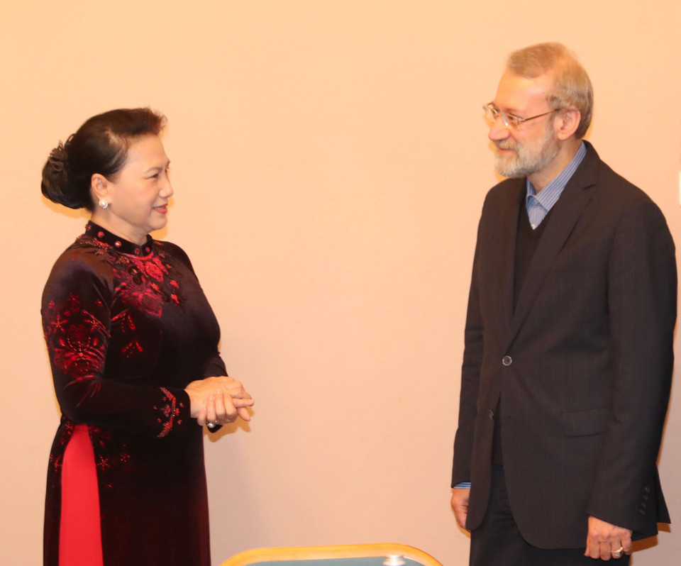 阮氏金银会见伊朗议会议长Ali Ardeshir Larijani。越通社记者 仲德 摄