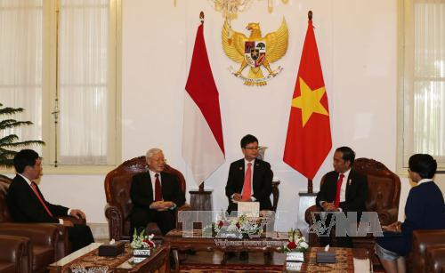 印尼总统佐科·维多多与阮富仲总书记进行会晤。（图片来源：越通社）