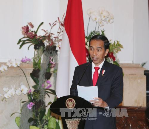 印尼总统在记者会上发言。（图片来源：越通社）