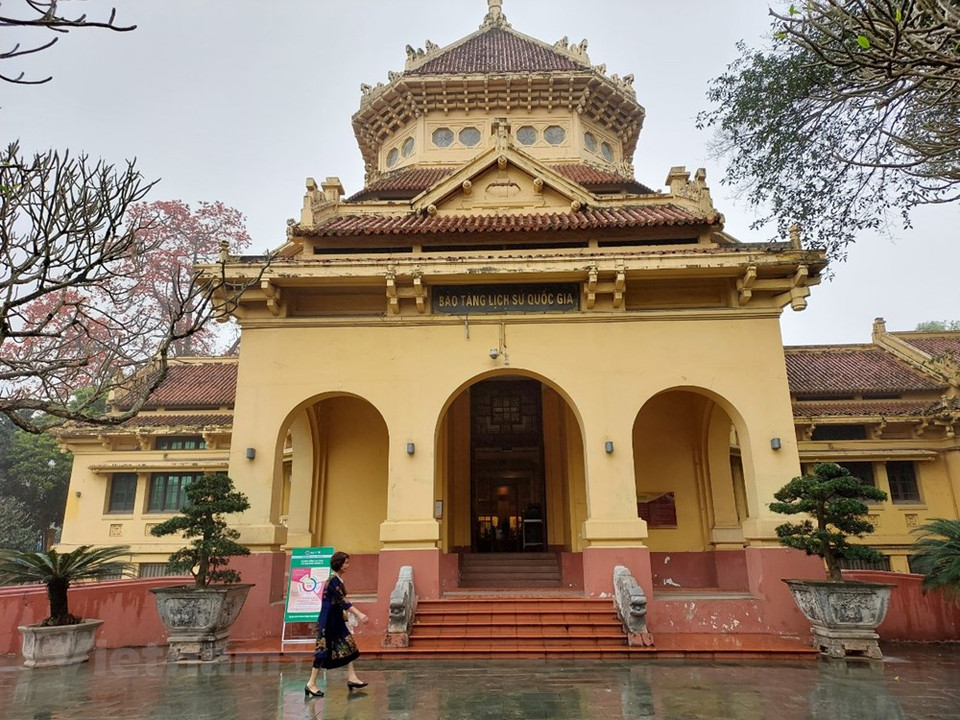 每逢周末，许多家庭也选择前来国家历史博物馆参观并与绽放的木棉花拍摄。越南历史博物馆被木棉花的颜色染红了。历经严冬，春风荡漾，木棉花开得繁盛，红红的花朵吸引途人艳羡。木棉是木棉科、木棉属落叶大乔木，树皮灰白色，幼树的树干通常有圆锥状的粗刺；分枝平展。掌状复叶，小叶5-7片，长圆形至长圆状披针形，花单生枝顶叶腋，通常红色，有时橙红色，直径约10厘米；萼杯状，长2-3厘米，外面无毛，内面密被淡黄色短绢毛，萼齿3-5，半圆形，花瓣肉质，倒卵状长圆形，蒴果长圆形，钝。图自Vietnam+