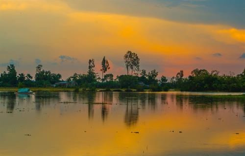 汛期期间，后江省田野之美。图自越通社