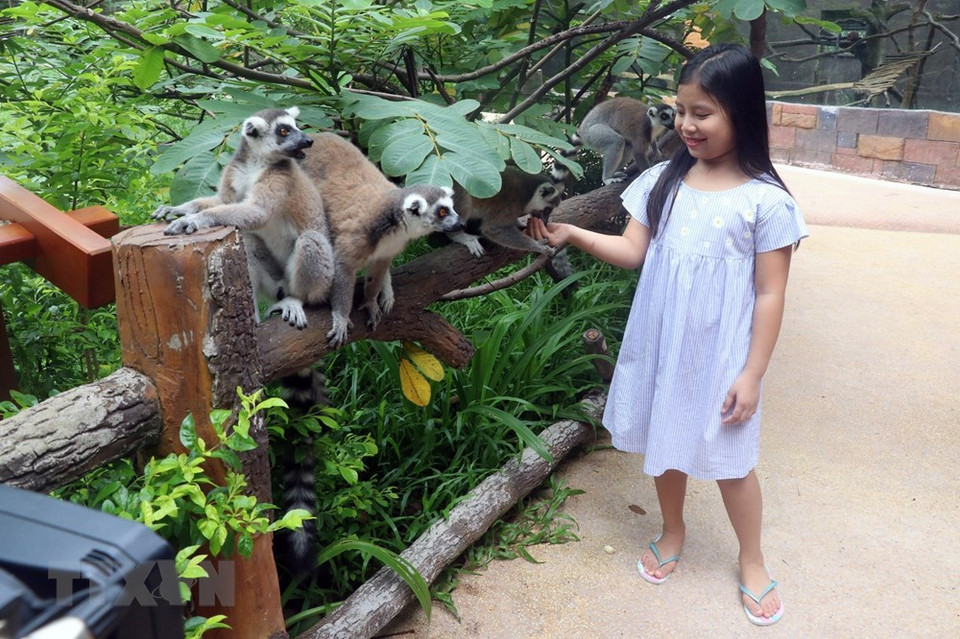富国野生动物照顾与保护公园里的各种可爱的动物。越通社记者 黎辉海 摄