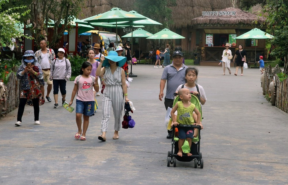 游客们在Safari Vinpearl 动物园观光游览。越通社记者 黎辉海 摄