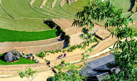 （图片来源：越南《人民军队报网》）