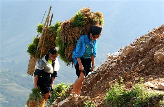（图片来源：越南《人民军队报网》）