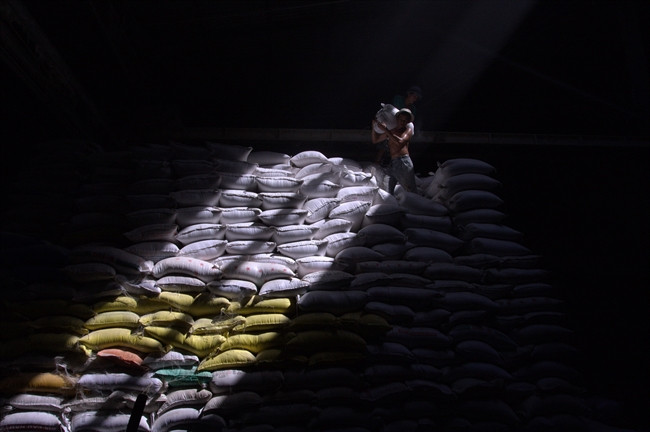 作品：《出口大米》 作者：有成（第二次《黄金时刻》新闻摄影奖参赛作品）