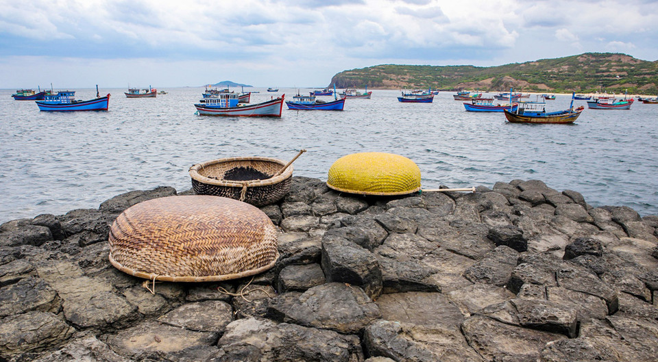 （图片来源：越南《人民报》）