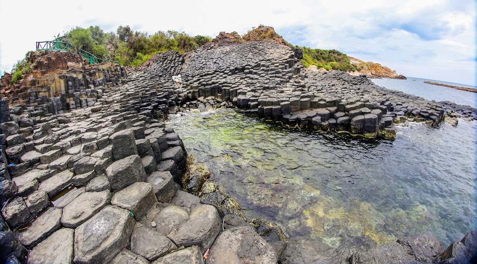 （图片来源：越南《人民报》）