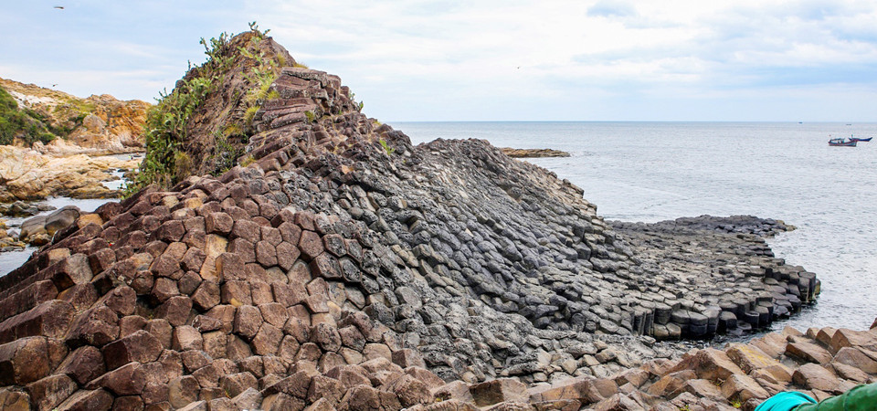 （图片来源：越南《人民报》）
