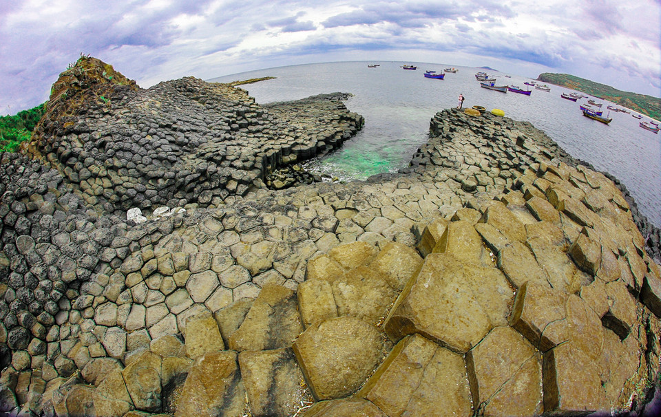 （图片来源：越南《人民报》）