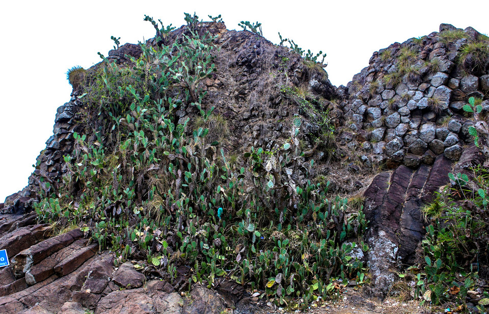 （图片来源：越南《人民报》）