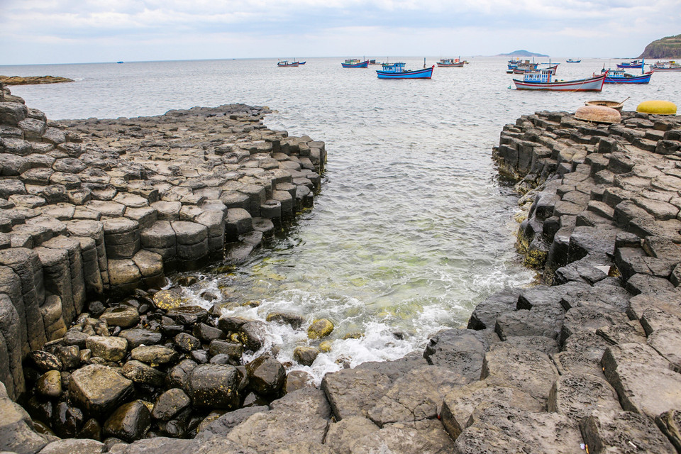 （图片来源：越南《人民报》）