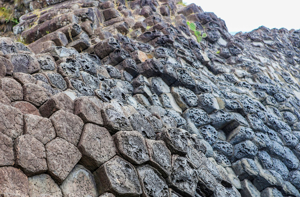 （图片来源：越南《人民报》）