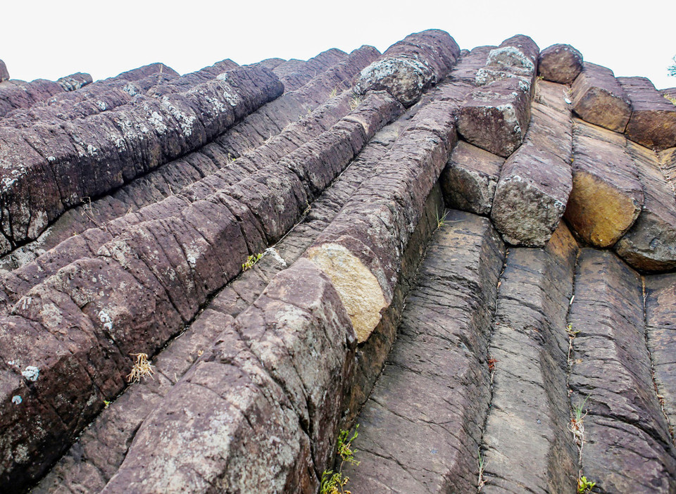 （图片来源：越南《人民报》）