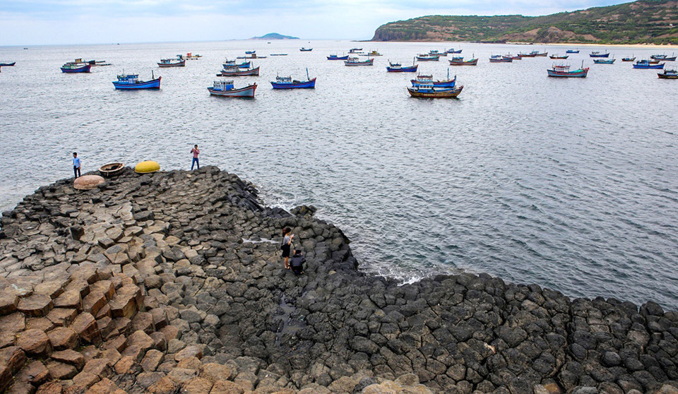 （图片来源：越南《人民报》）