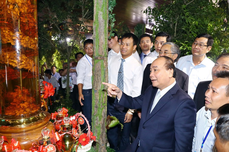 越南政府总理阮春福和与会代表参观产品展区。越通社记者 统一 摄