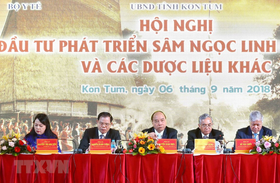 越南政府总理阮春福出席昆嵩玉玲人参与其他药材投资促进会。越通社记者 统一 摄