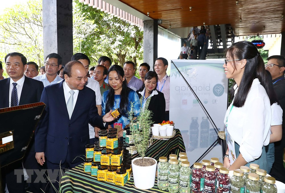 越南政府总理阮春福和与会代表参观产品展区。越通社记者 统一 摄