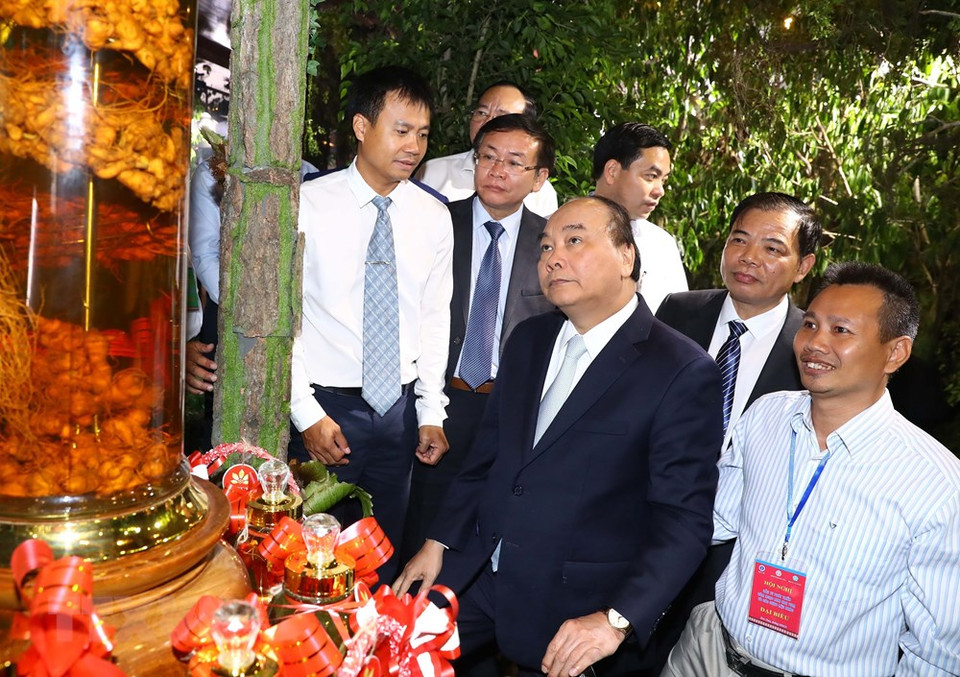 越南政府总理阮春福和与会代表参观产品展区。越通社记者 统一 摄