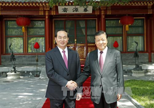 国家主席陈大光（左）会见中共中央政治局常委、中央书记处书记刘云山。（图片来源：越通社）