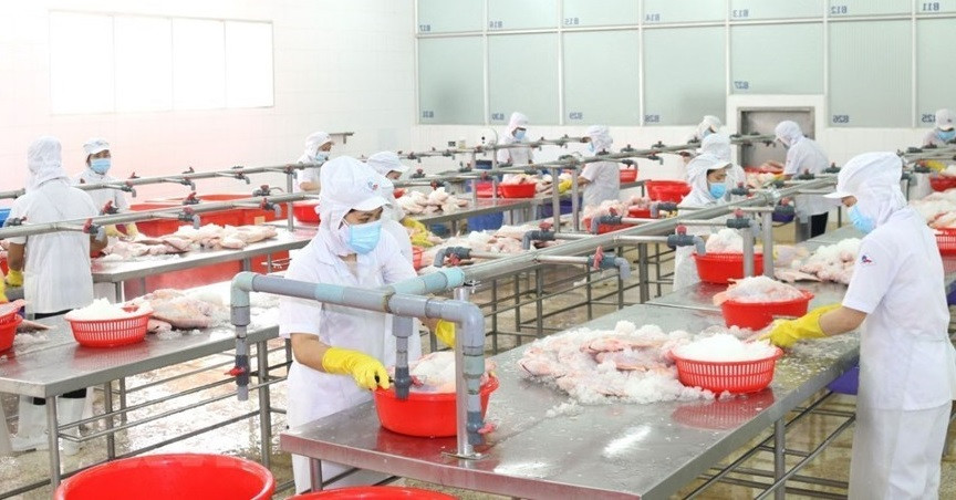 胡志明市企业努力确保生产活动稳定运行。图片来源：越通社