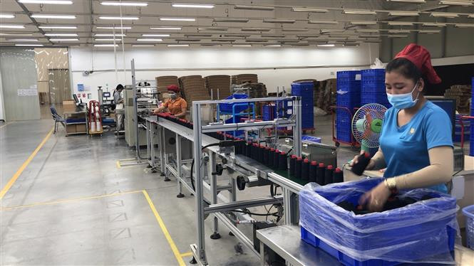 越南Gunzetal责任有限公司努力确保产业链不掉链子。图片来源：越通社