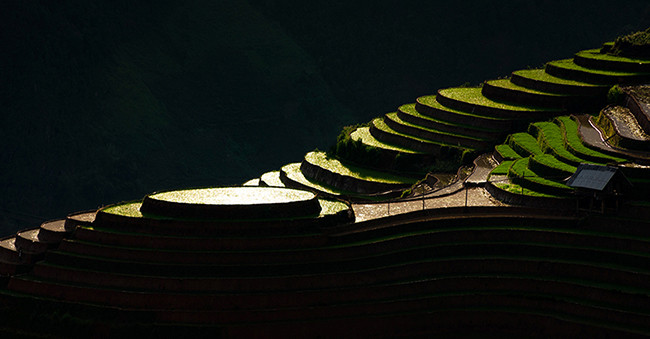 越南摄影师阮武厚有关农耕季节梯田之美的作品。图自《越南人民报》