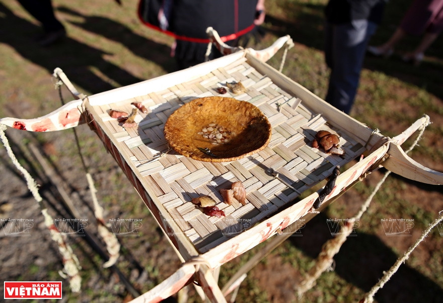 巴拿族新龙屋祭祀仪式的祭品。图自《越南画报》