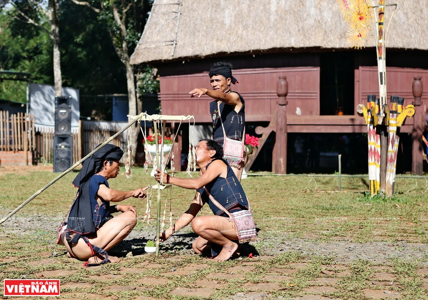 巴拿族新龙屋祭祀仪式。图自《越南画报》