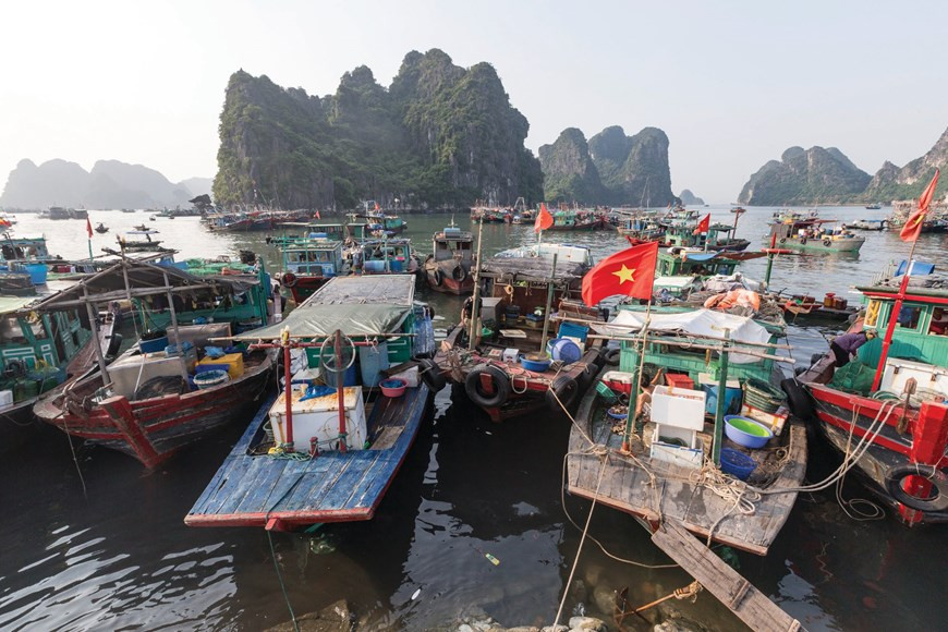 经过一段时间出海捕捞后，多艘渔船在码头上停泊。这也是广宁鱼市场常见的平静画面。图自Vietnam+