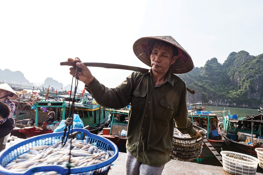 载满劳动成果的担子。图自Vietnam+