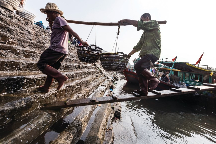 捕鱼人载着鱼儿丰收而归。图自Vietnam+