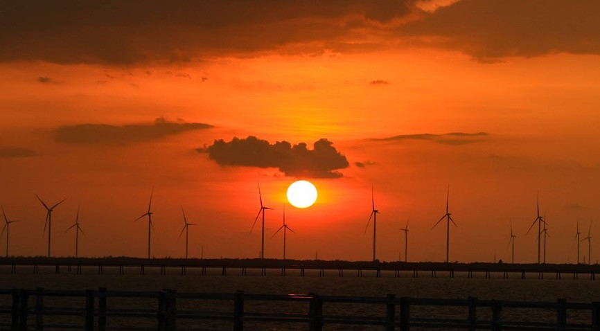 观赏“风车场”的最佳时间是上午和下午。图自 Vietnam+