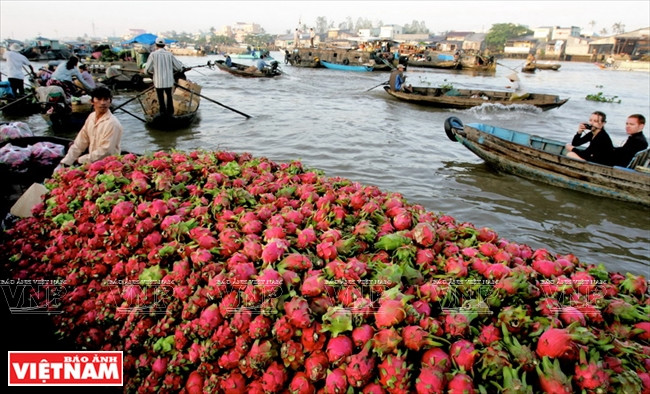 九龙江平原的水上集市。图自《越南画报》