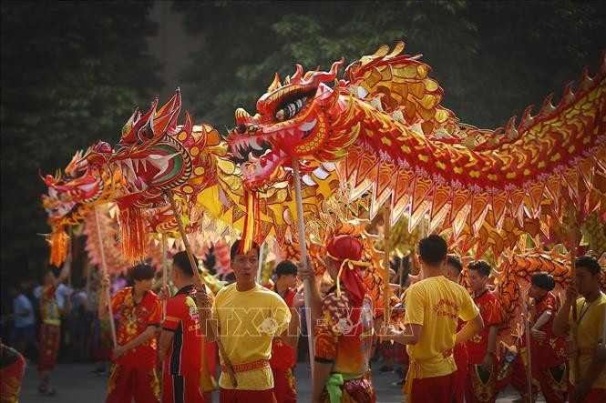 各郡县龙舞表演队的节目。图自越通社