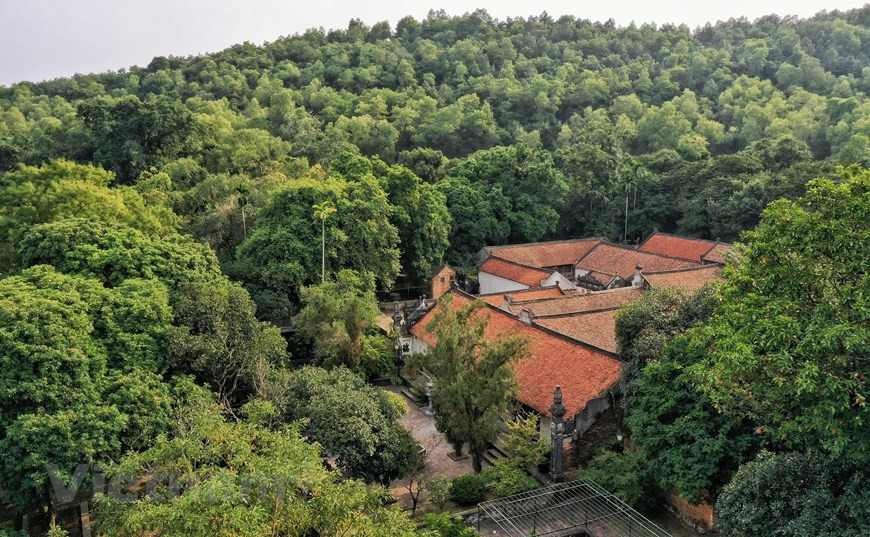 补陀寺是历史悠久的古寺，于17、18世纪扩建并迅速壮大。该寺建筑布局和谐，使用红土砖、瓦和小瓦缸来修建的，共有近100间大小房屋，周边是土围墙，一些工程也是用土建成的。300多年来，这里一直是林济禅派僧众信徒修行和学禅的地方。补陀寺保存有40多座佛像，其中大部分是18世纪黎朝时期、19世纪阮朝时期的古佛像。图片来源： Vietnam+