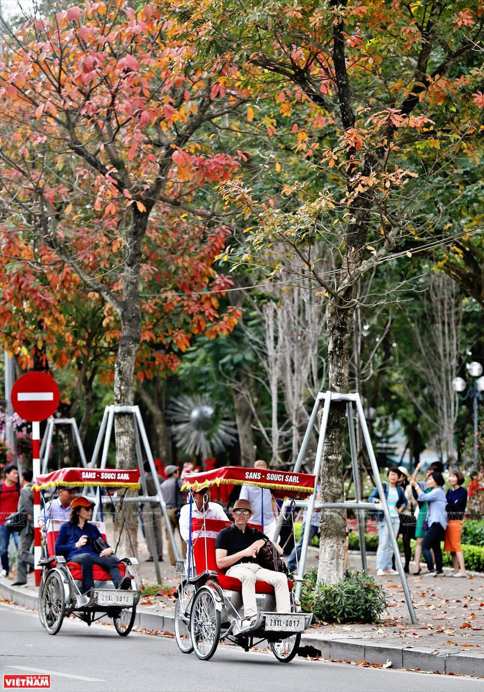 一到换叶季节，大花紫薇树上的绿叶慢慢变红，整个城市展示了独具魅力的浪漫、怀旧的面孔。图自《越南画报》
