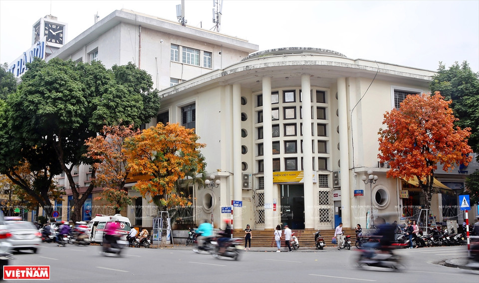一到换叶季节，大花紫薇树上的绿叶慢慢变红，整个城市展示了独具魅力的浪漫、怀旧的面孔。图自《越南画报》