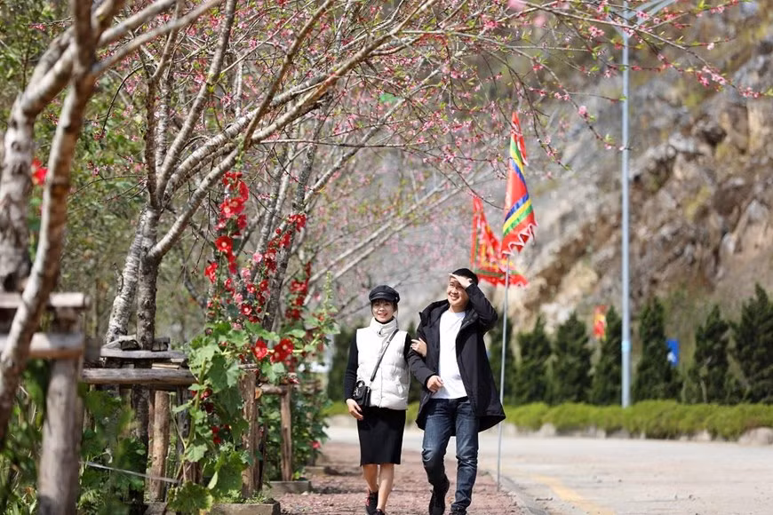 许多游客前往番西邦峰赏花。图自越通社