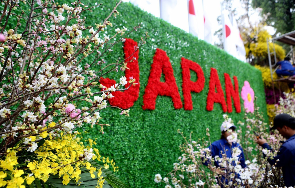 在河内市还剑区李太祖花园的樱花盛开。图自越通社