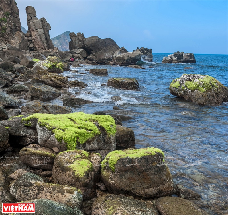 风峡是归仁市旅游不可错过的目的地。图自《越南画报》