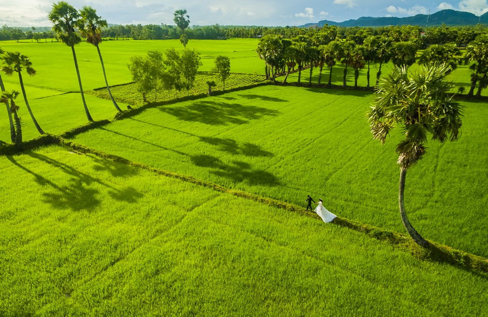黎泰阳的《恋爱季》获得鼓励奖。（图片来源：越通社）