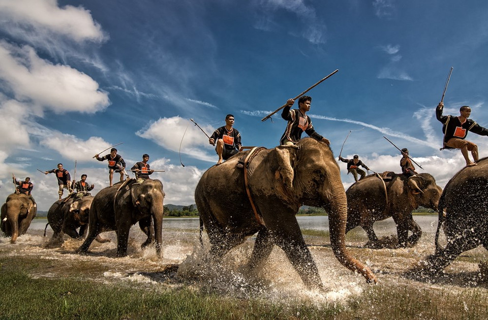 获得三等奖的阮玉和摄影师作品《乐湖大象比赛》。（图片来源：越通社）