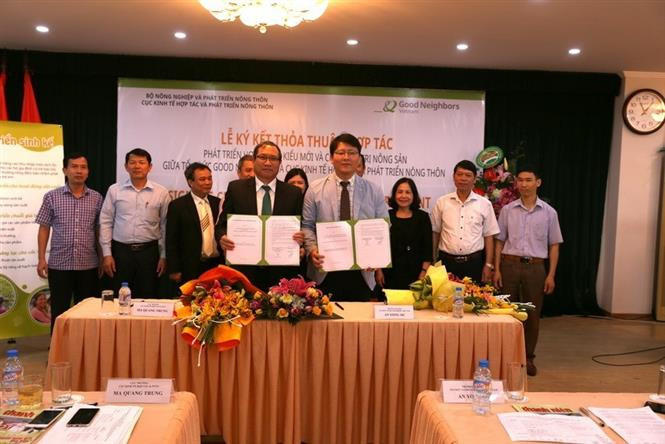 经济合作与农村发展局局长魔光忠同国际好邻居组织主任An Yong Sic签署支持越南新型合作社以及农产品价值链发展项目的合作协议。图自越通社