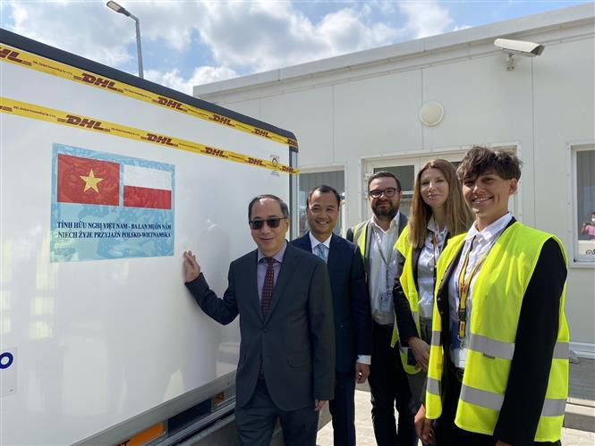 2021年8月20日在华沙肖邦机场，越南驻波兰特命全权大使阮雄与越南使馆干部一同出席由波兰政府向越南援助的50万多剂新冠疫苗交接仪式。图自越通社