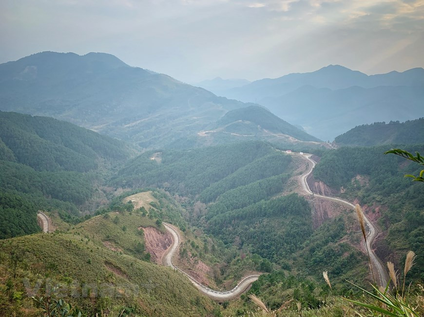 平辽有64个边境界碑，其中最有名的是分散在海拔700多米的巡逻路线上的4个界碑。这条路在长满松树的山丘上蜿蜒。图自 Vietnam+
