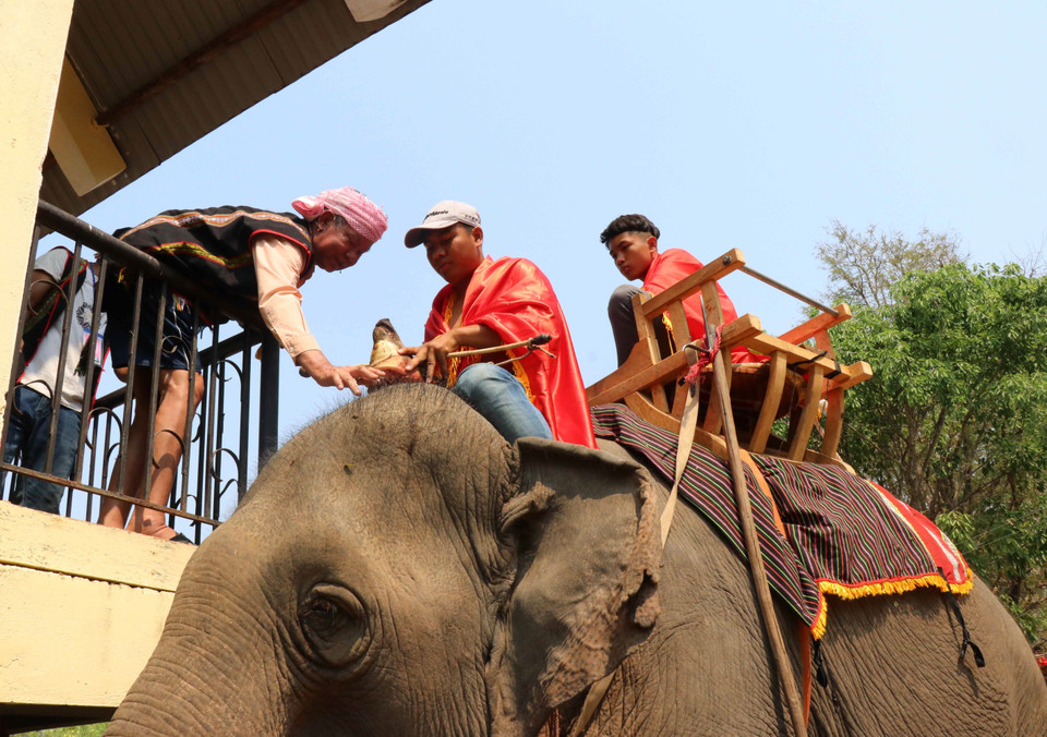 主祭人念祭文，祈求老天赋予大象健康平安。越通社记者俊英 摄